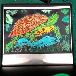 Coloring of a turtle